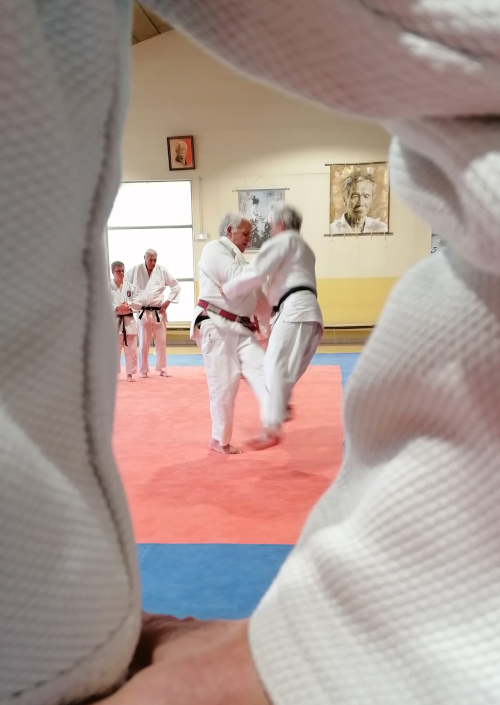 Démontration de Polo sur un fauchage