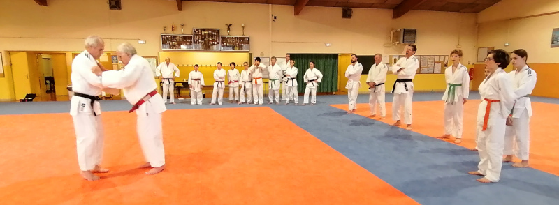 Démontration de Polo vu d'ensemble avec les judokas
